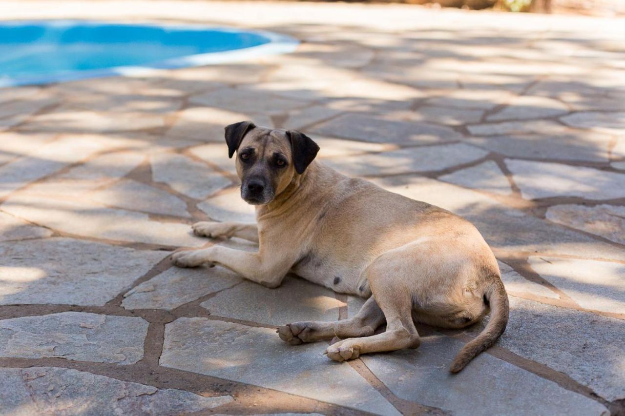 Shambala Piri Villa Pirenopolis Bagian luar foto